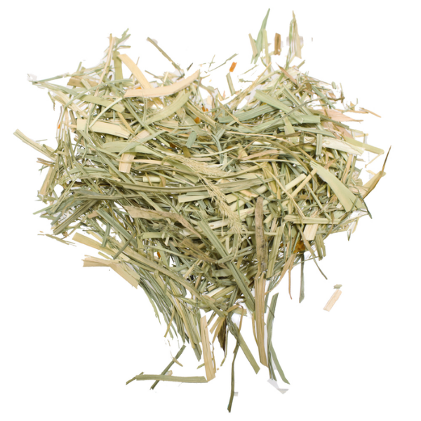 Bauzaar Fieno naturale Fienoro per conigli Croci Rabbit Vendita Calda