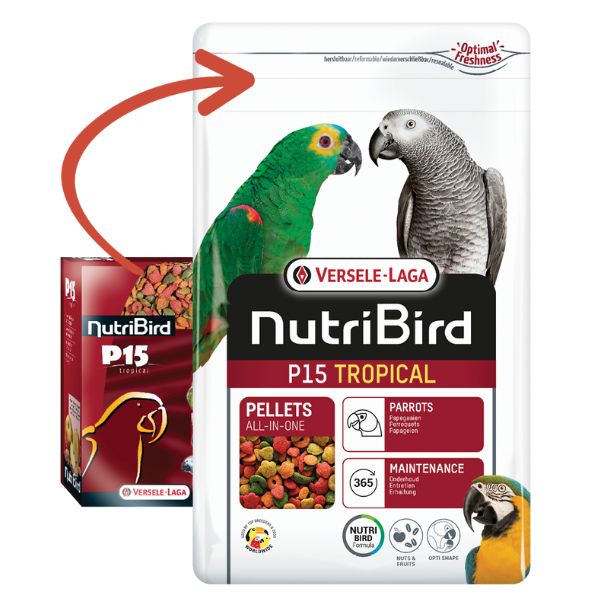 Bauzaar Versele Laga Nutribird P15 Tropical Mantenimento Negozio