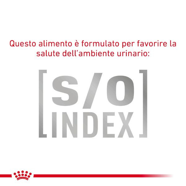 Bauzaar Royal Canin Gastrointestinal secco Feline Nuova
