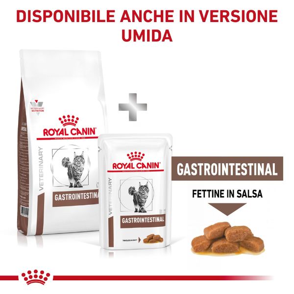 Bauzaar Royal Canin Gastrointestinal secco Feline Nuova