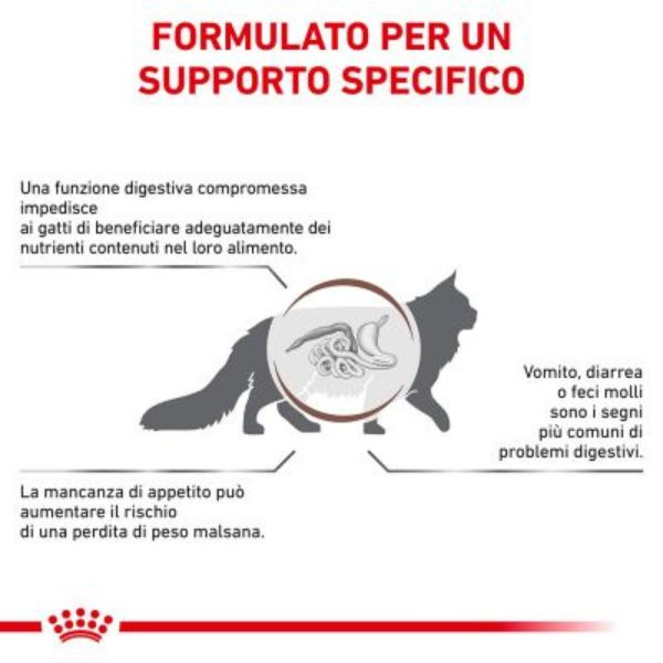 Bauzaar Royal Canin Gastrointestinal secco Feline Nuova