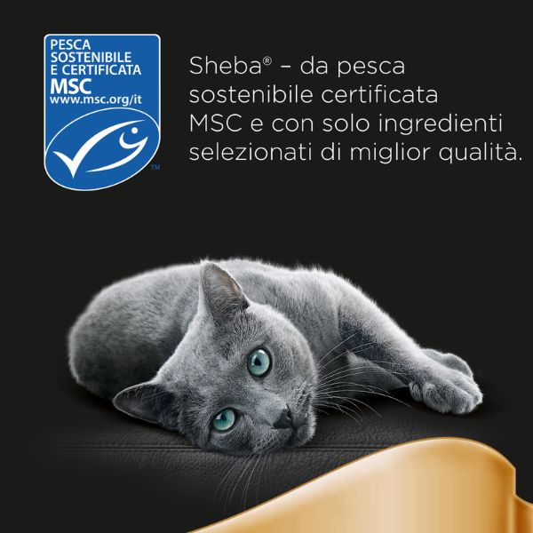 Bauzaar Sheba Mini Filets Selezione In Salsa Multipack 2025