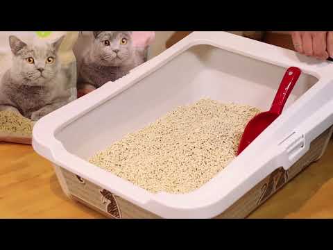 Bauzaar Cat&Rina Lettiera al Tofu Be Natural Nuovo