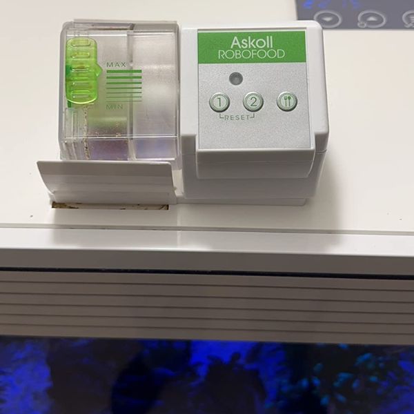 Bauzaar Distributore automatico programmabile di cibo per pesci Robofood Askoll Affare Del Giorno