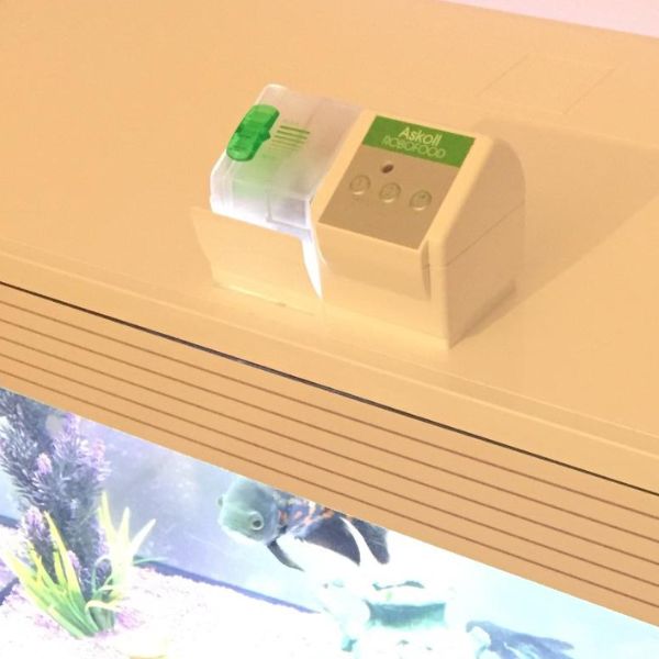 Bauzaar Distributore automatico programmabile di cibo per pesci Robofood Askoll Affare Del Giorno