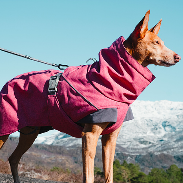 Bauzaar Expedition Parka Hurtta Prezzo Ridotto