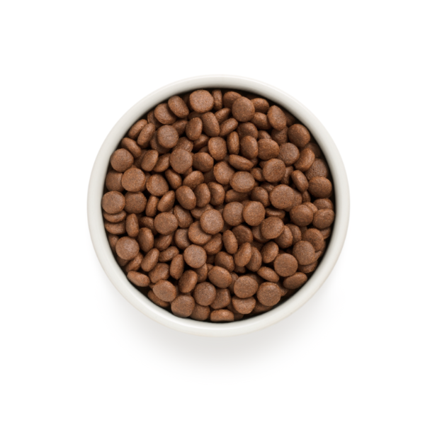Bauzaar Grandorf Dog Adult Medium/Maxi Grain Free Anatra e Tacchino Outlet