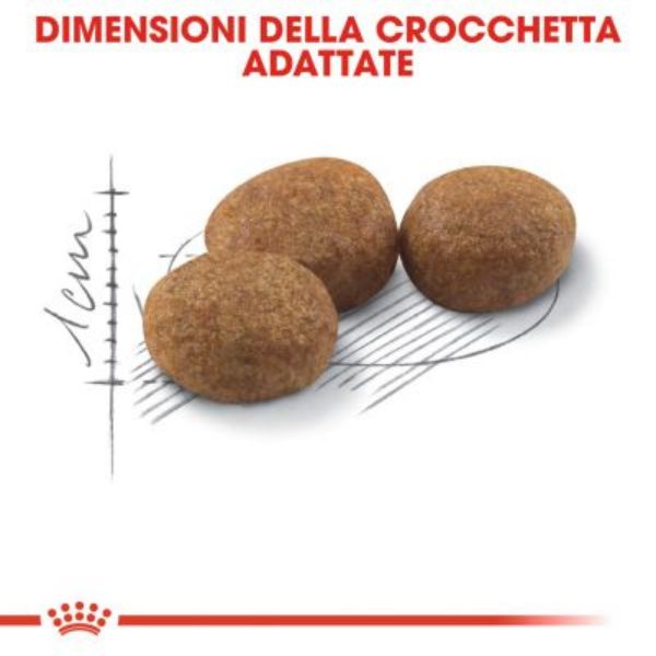 Bauzaar Royal Canin Sterilised 37 Cat Food Saldi Di Fabbrica