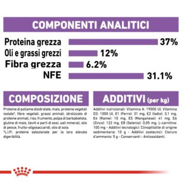 Bauzaar Royal Canin Sterilised 37 Cat Food Saldi Di Fabbrica