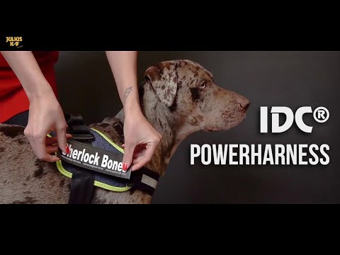 Bauzaar Pettorina Power Harness Julius K9 Negozio