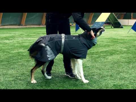 Bauzaar Giacca Extreme Warmer 2 Eco Hurtta Soddisfazione Garantita