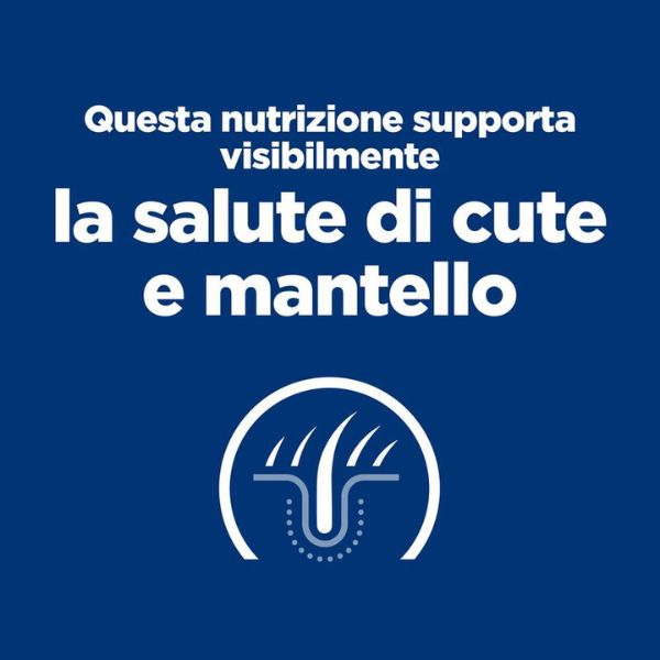 Bauzaar confezione da 6 Consegna Veloce