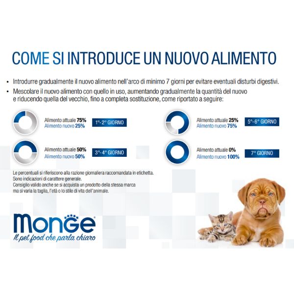 Bauzaar confezione da 6 Fino Al -60%