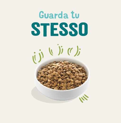 Bauzaar Edgard & Cooper Adult Grain Free Agnello Presa
