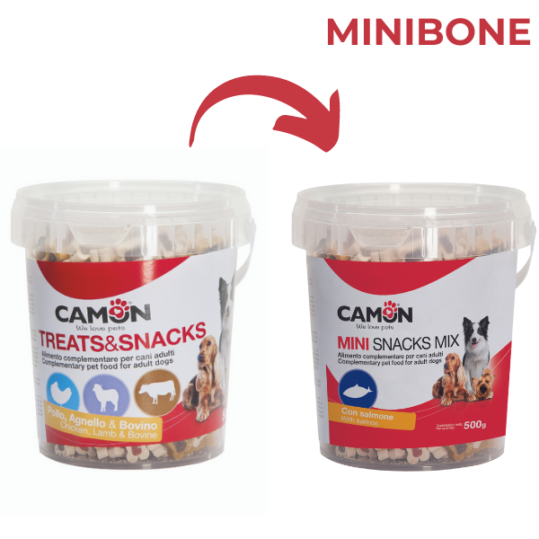Bauzaar Camon Mini Treats&Snacks Box 500 gr Economico