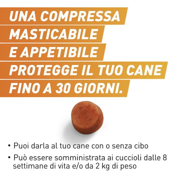 Bauzaar Frontpro compresse antiparassitarie masticabili Frontline Offerta Pasqua