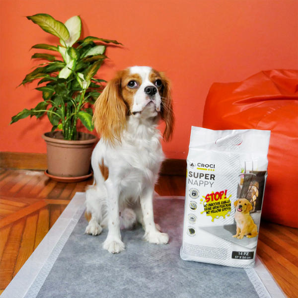 Bauzaar Tappetini Igienici Super Nappy Carbone Attivo Croci Vendite Flash