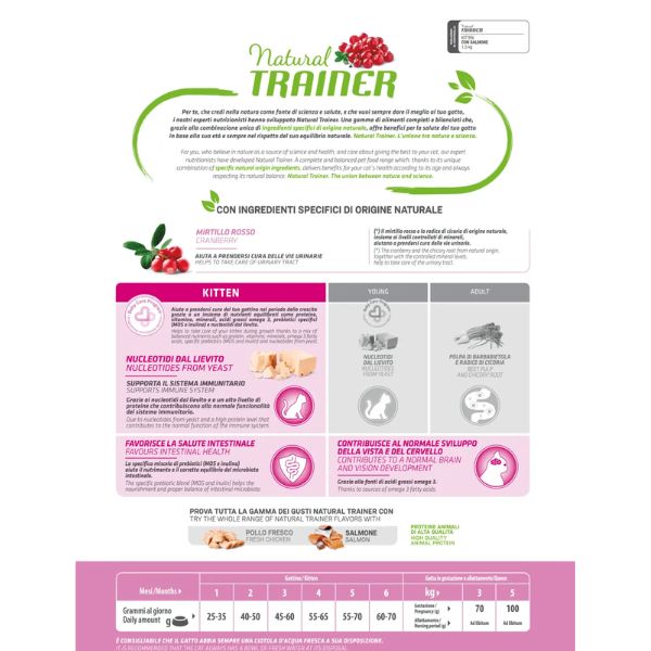 Bauzaar Natural Trainer Kitten con Salmone Vendita