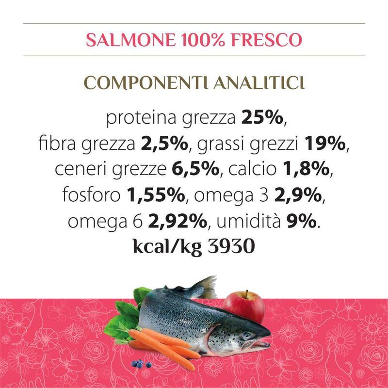 Zooplus Almo Nature HFC Adult M-L Salmone Crocchette per cani In Linea