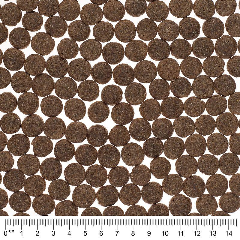 Zooplus senza cereali Crocchette per cane Hotsell