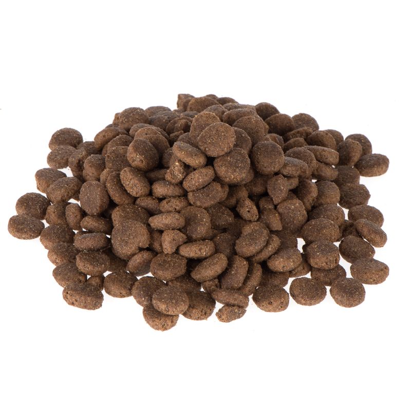 Zooplus Briantos Adult Agnello & Riso Crocchette per cane Vendita Economica