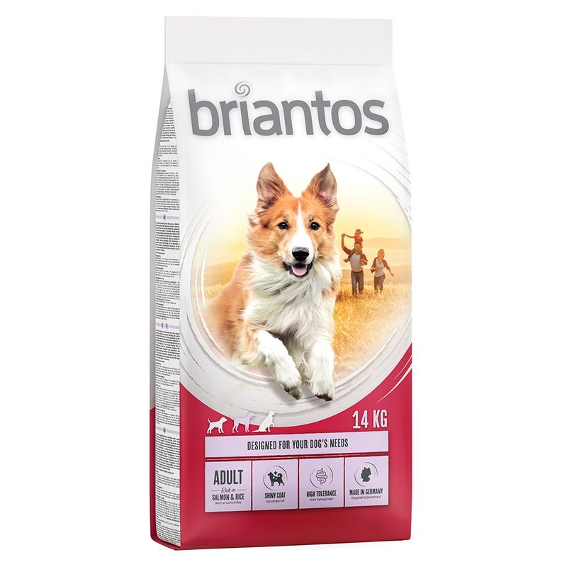 Zooplus Briantos Adult Salmone & Riso Crocchette per cane