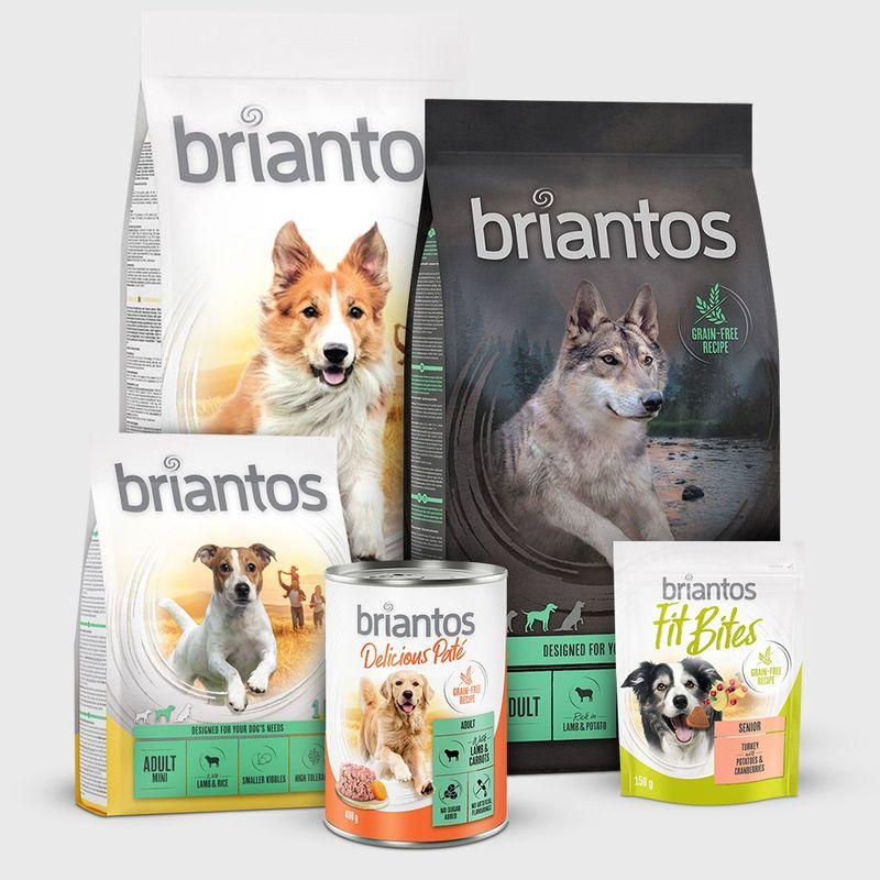Zooplus senza cereali per cane Negozio