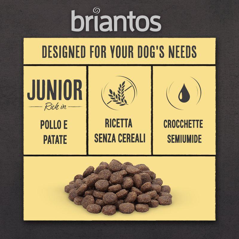 Zooplus senza cereali Crocchette per cani Italia