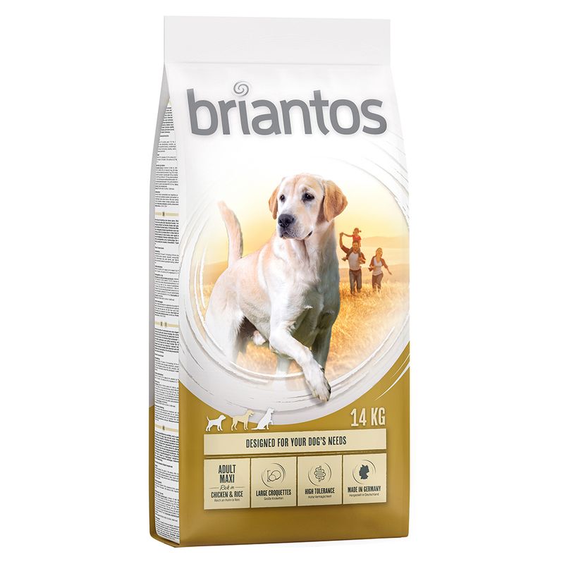 Zooplus Briantos Adult Maxi Crocchette per cani