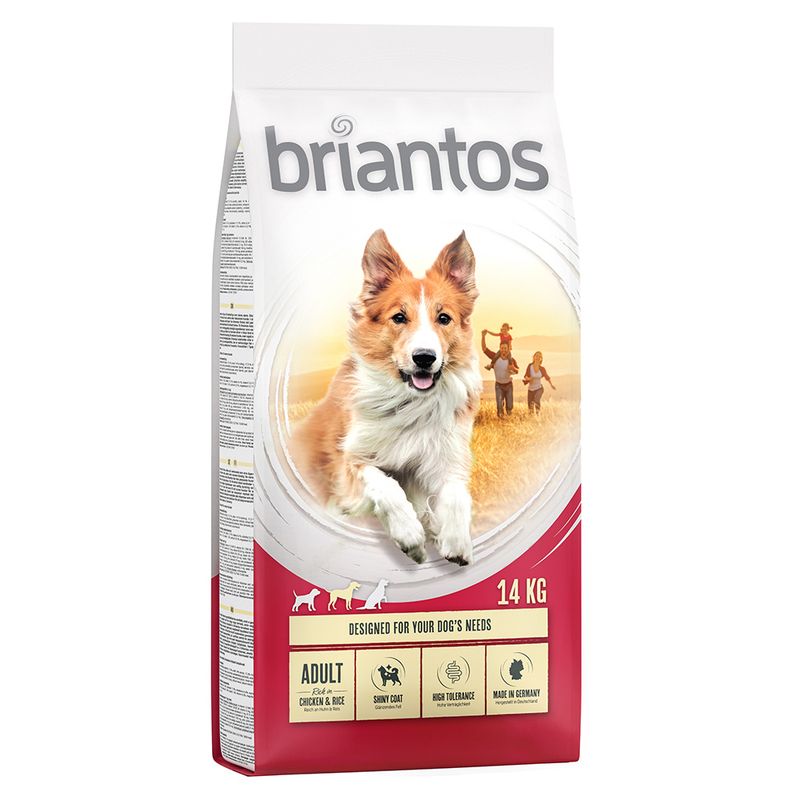 Zooplus Briantos Adult Pollo & Riso Crocchette per cane