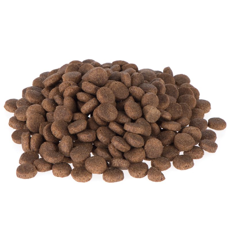 Zooplus Briantos Adult Pollo & Riso Crocchette per cane In Linea