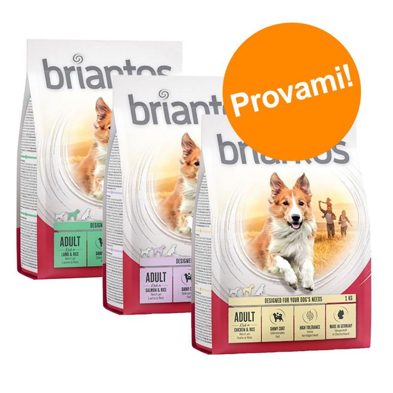Zooplus Set prova 3 x 1 kg Briantos Adult Nuovo
