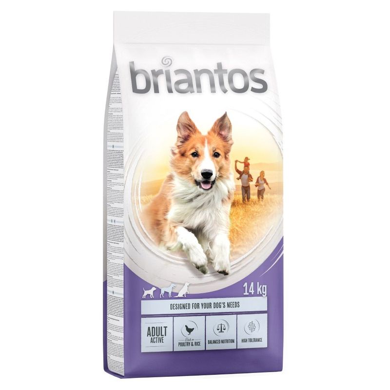 Zooplus Briantos Adult Active Crocchette per cane