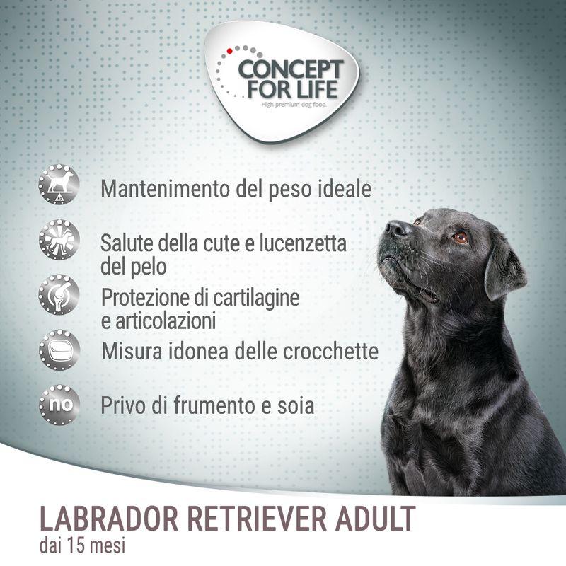 Zooplus Concept for Life Labrador Retriever Adult Crocchette per cani Affare Del Giorno