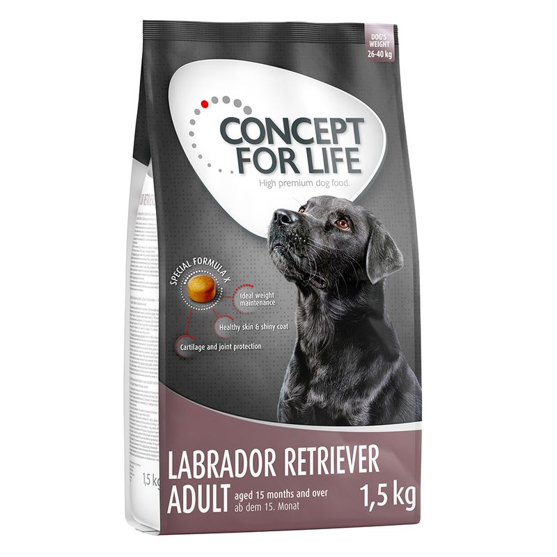 Zooplus Concept for Life Labrador Retriever Adult Crocchette per cani Affare Del Giorno