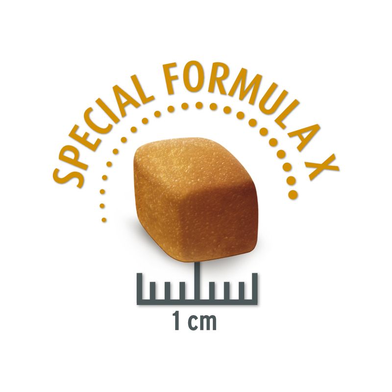 Zooplus Concept for Life Medium Sterilised Crocchette per cani Sottocosto