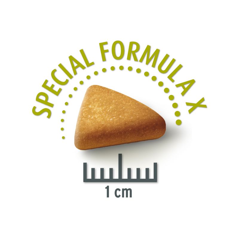 Zooplus Concept for Life Mini Sterilised Crocchette per cani Presa