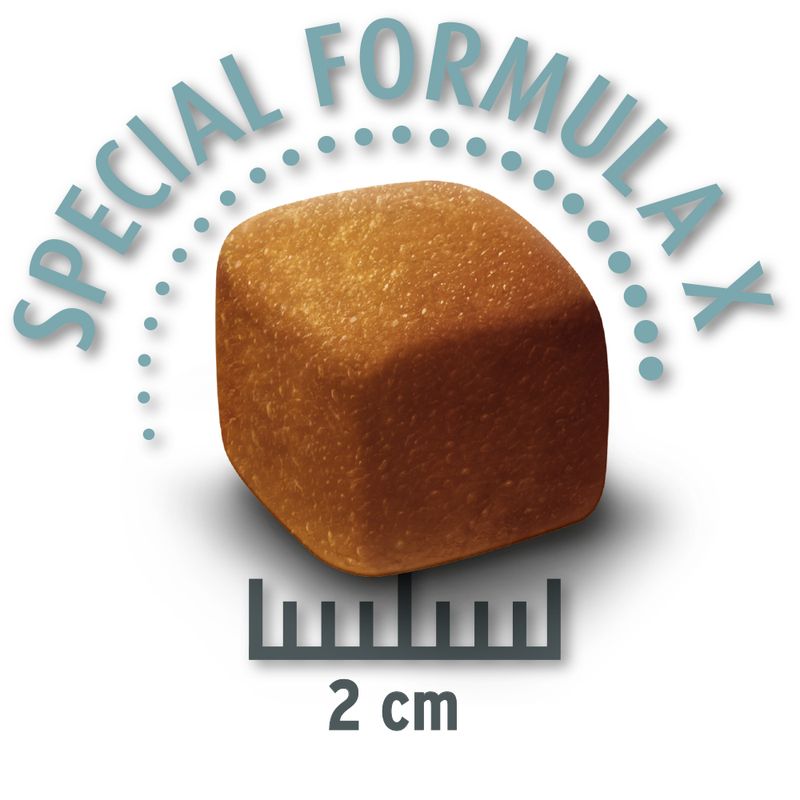 Zooplus Concept for Life Large Light Crocchette per cani Offerta