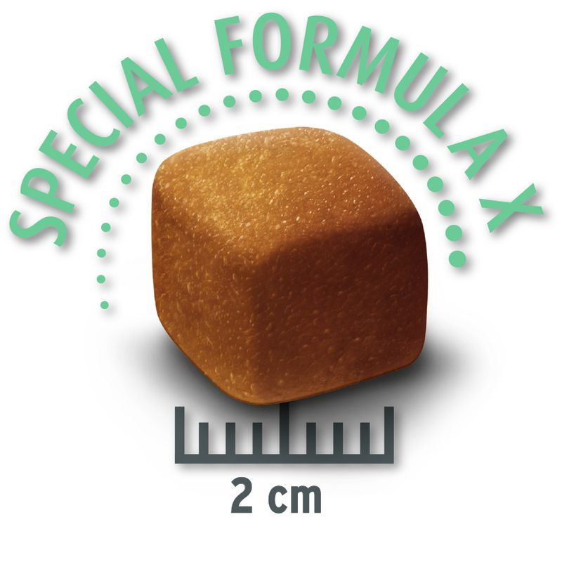 Zooplus Concept for Life Large Sensitive Crocchette per cani Offerte