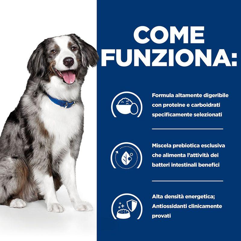 Zooplus Hill's Prescription Diet i/d Sensitive Digestive Care secco per cani Fino Al -60%