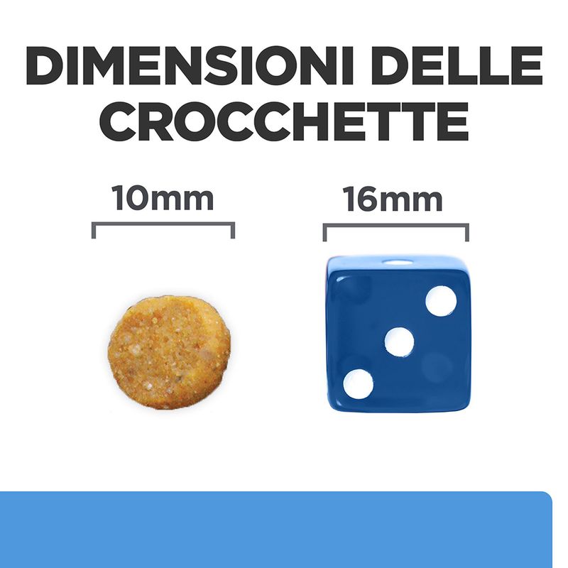 Zooplus Hill's Prescription Diet d/d Food Sensitivities con Anatra e Riso per cani Convenienza