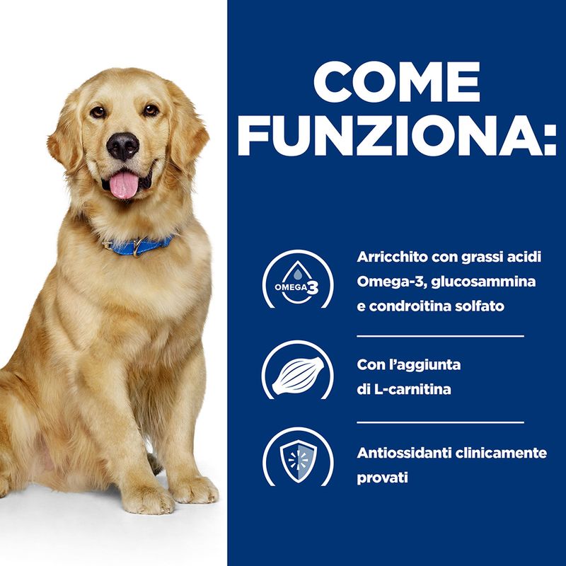 Zooplus Hill's Prescription Diet j/d Joint Care secco per cani Vendita Calda