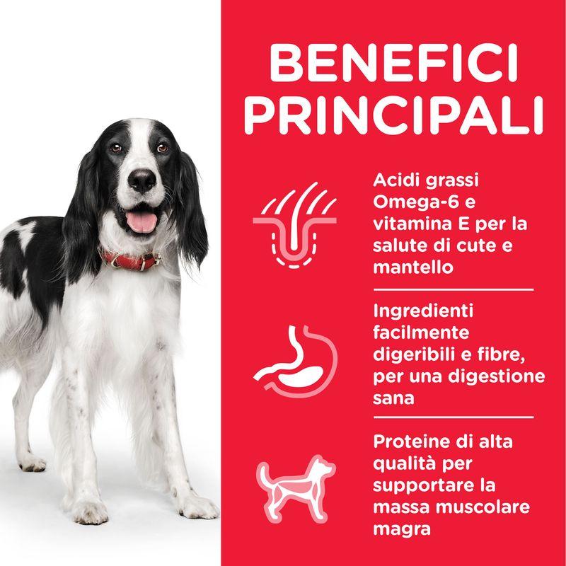 Zooplus Hill's Science Plan Adult 1-6 Medium con Agnello e Riso Shopping Online