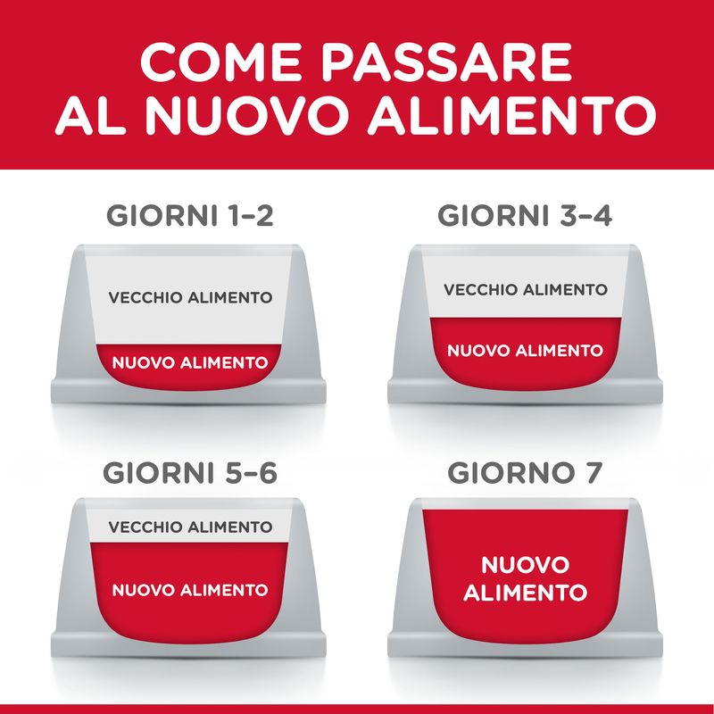 Zooplus Hill's Science Plan Adult 1-6 Medium con Agnello e Riso Shopping Online