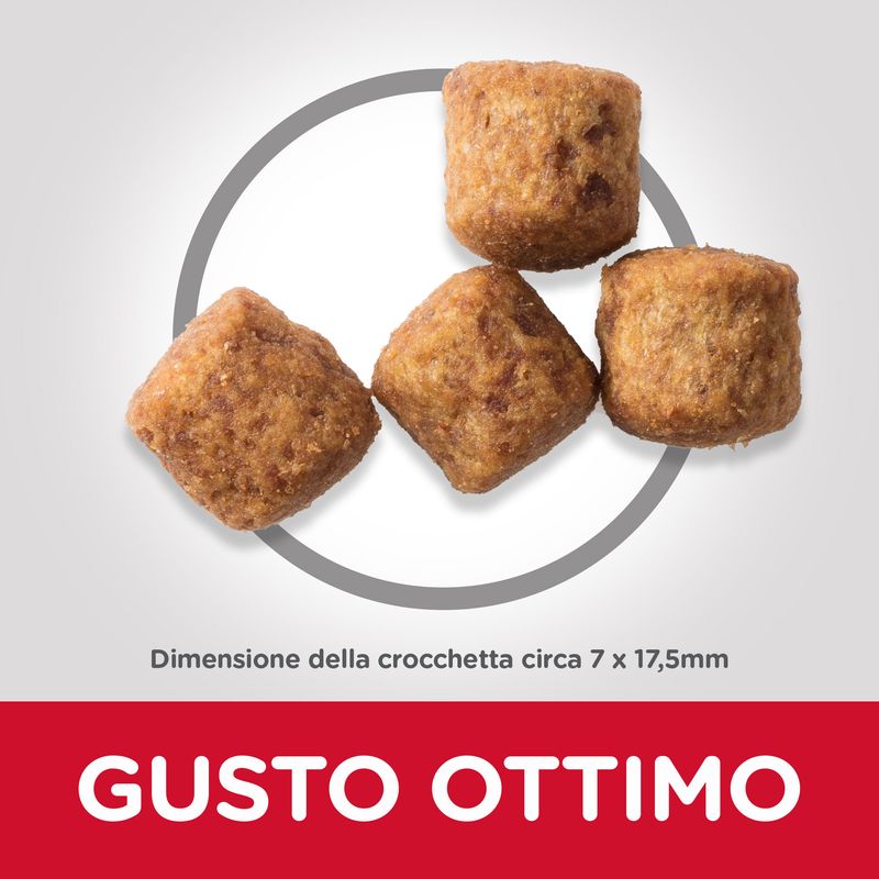 Zooplus Hill's Science Plan Adult 1+ Perfect Weight Large con Pollo Affare Del Giorno