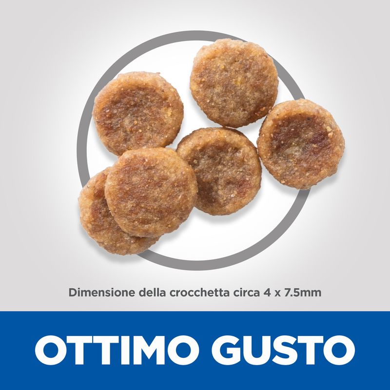 Zooplus Hill's Science Plan Adult 1-6 Small & Mini con Pollo Novità