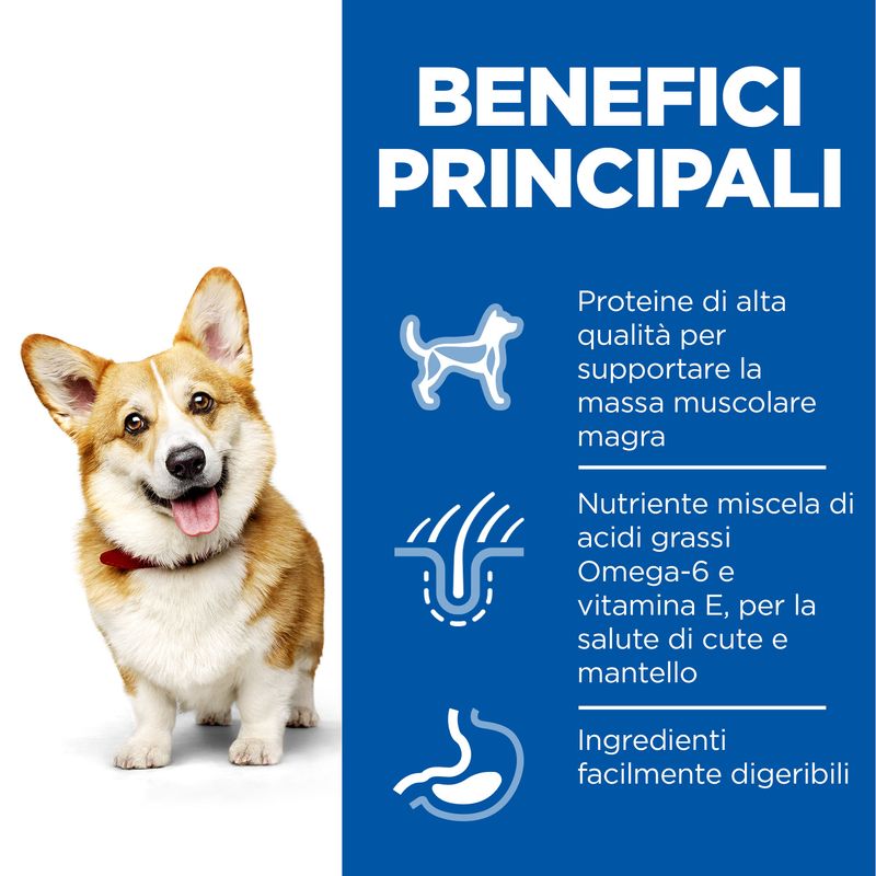 Zooplus Hill's Science Plan Adult 1-6 Small & Mini con Pollo Novità
