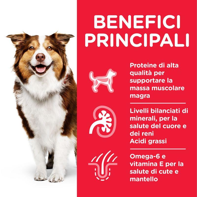 Zooplus Hill's Science Plan Mature Adult 7+ Medium con Agnello & Riso Economico