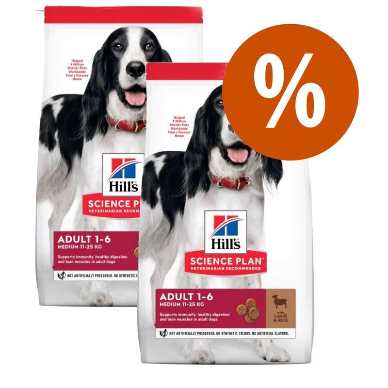 Zooplus Multipack risparmio 2 x Hill's Science Plan Crocchette per cani