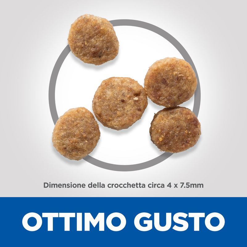 Zooplus Hill's Science Plan Senior 11+ Small & Mini con Pollo Vendita Calda